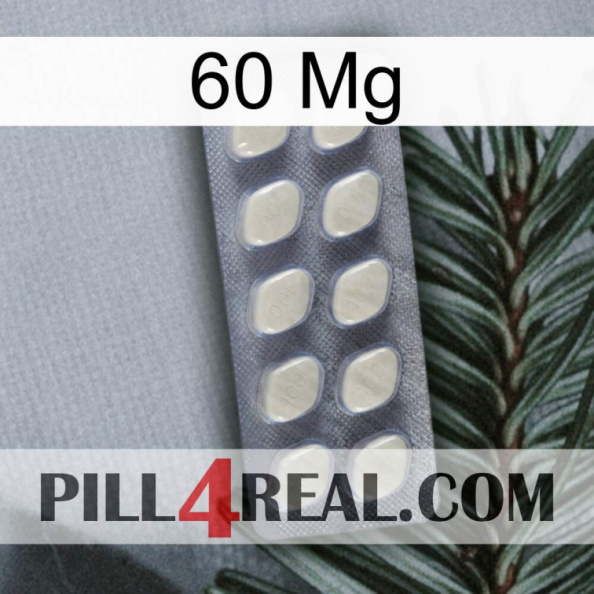 60 Mg 08.jpg